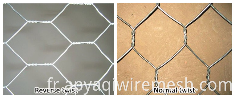 1/2 "Galvanisé Fence Fence Hexagonal Fil Mesh Poulet Maux